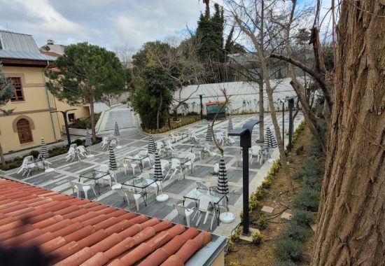 photo_2025-03-06_14-47-52