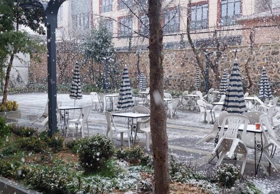 photo_2025-03-07_17-09-55